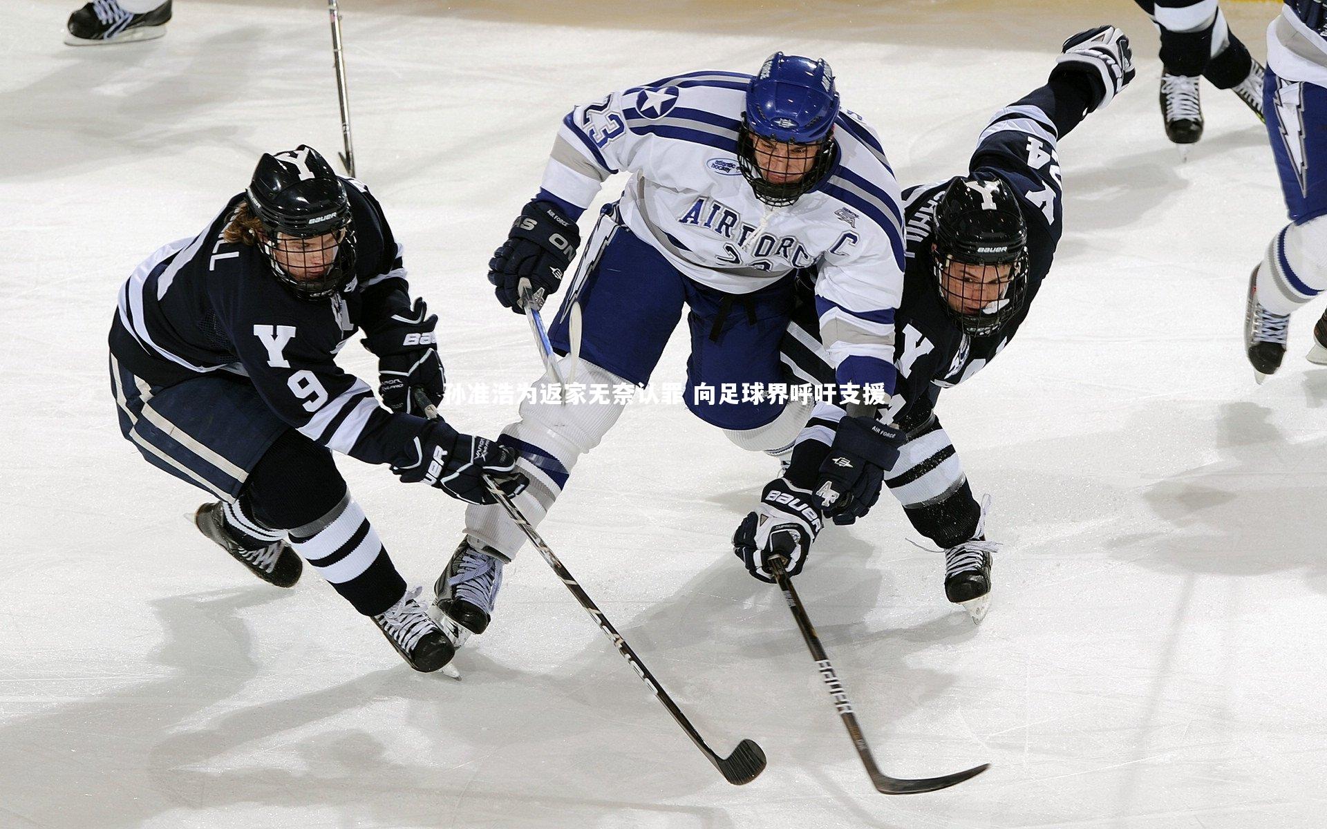 友博体育官网入口|孙准浩为返家无奈认罪 向足球界呼吁支援