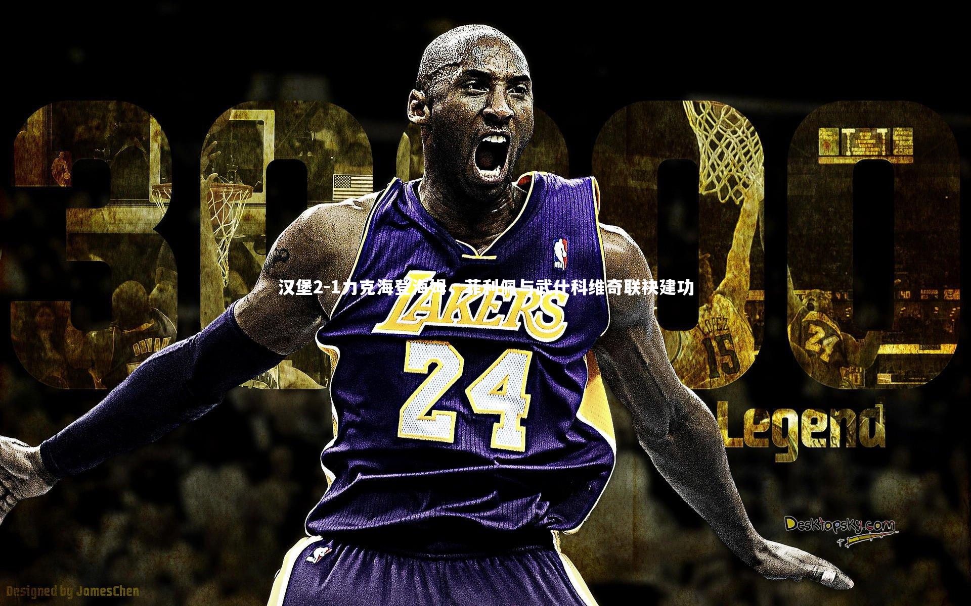 汉堡2-1力克海登海姆，菲利佩与武什科维奇联袂建功